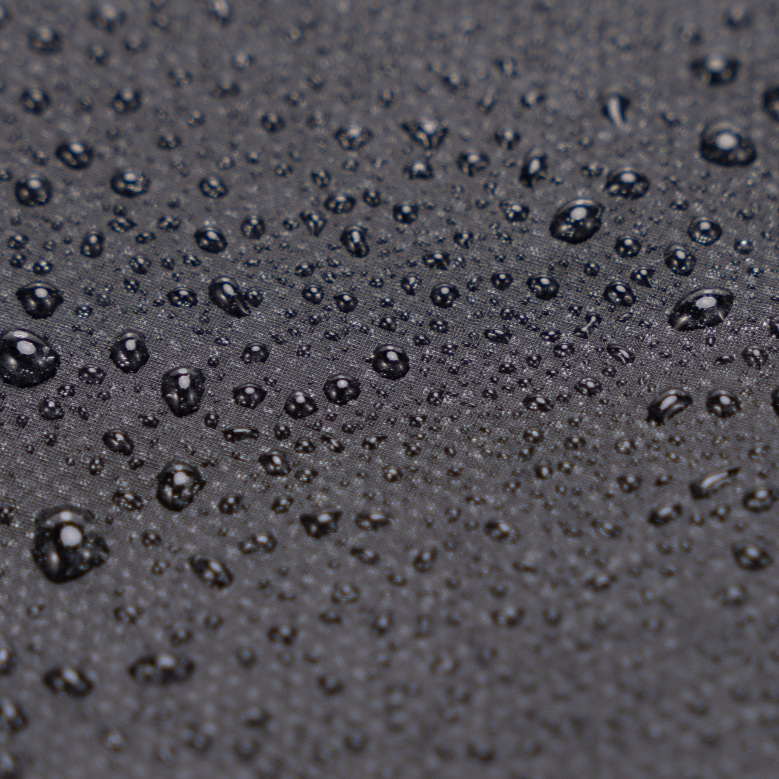 Sac à dos Roll-Top CELIMS - Bagage à Main 45x36x20cm - Imperméable & Ultra-Résitant